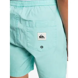Children's swimming shorts Quiksilver Taxer Ws image-6