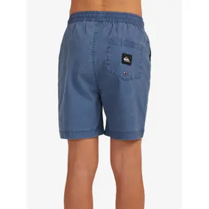 Children's swimming shorts Quiksilver Taxer Ws image-1