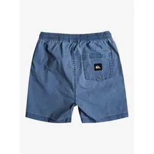 Children's swimming shorts Quiksilver Taxer Ws image-5