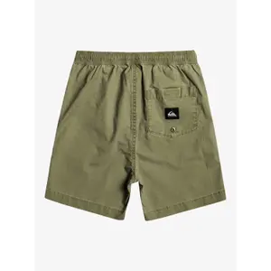 Children's swimming shorts Quiksilver Taxer Ws image-1