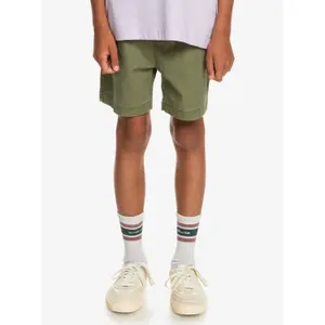 Children's swimming shorts Quiksilver Taxer Ws image-2