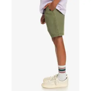 Children's swimming shorts Quiksilver Taxer Ws image-3