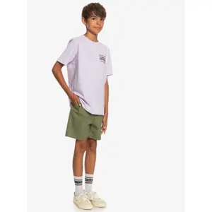 Children's swimming shorts Quiksilver Taxer Ws image-5