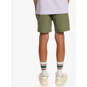 Children's swimming shorts Quiksilver Taxer Ws image-6