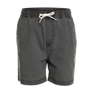 Children's swimming shorts Quiksilver Taxer Ws image-0