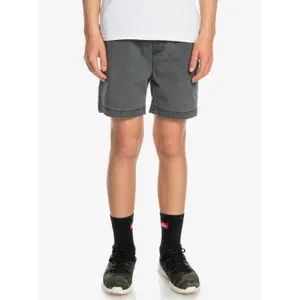 Children's swimming shorts Quiksilver Taxer Ws image-3