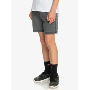 Children's swimming shorts Quiksilver Taxer Ws image-4