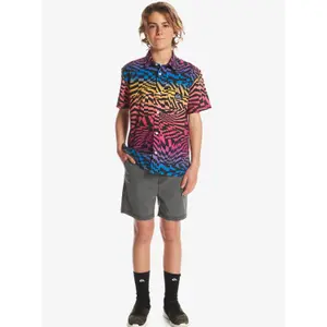 Children's swimming shorts Quiksilver Taxer Ws image-6