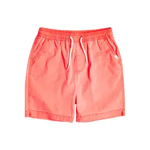 Children's swimming shorts Quiksilver Taxer Ws image-0