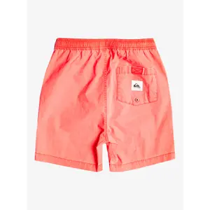 Children's swimming shorts Quiksilver Taxer Ws image-1