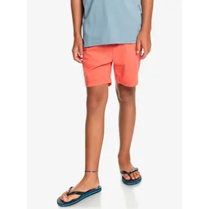 Children's swimming shorts Quiksilver Taxer Ws image-2