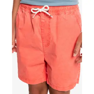 Children's swimming shorts Quiksilver Taxer Ws image-4