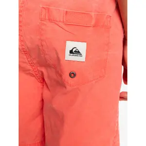 Children's swimming shorts Quiksilver Taxer Ws image-5