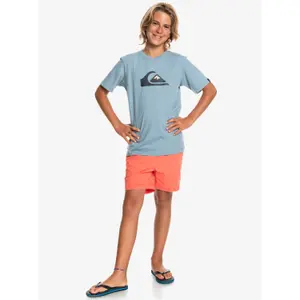 Children's swimming shorts Quiksilver Taxer Ws image-6