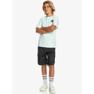 Surf cargo shorts for kids Quiksilver image-6