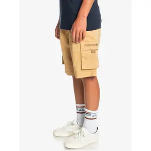 Surf cargo shorts for kids Quiksilver image-3