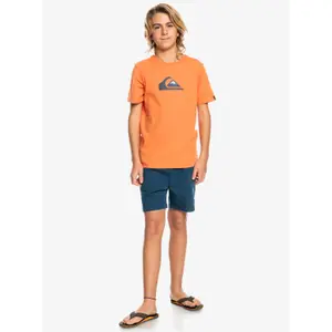 Children's swimming shorts Quiksilver Taped Taxer image-6