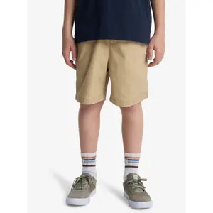 Children's shorts Quiksilver Taxer image-1