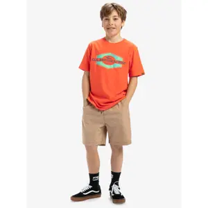 Children's shorts Quiksilver Taxer image-2