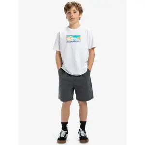 Children's shorts Quiksilver Taxer image-2