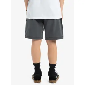 Children's shorts Quiksilver Taxer image-4