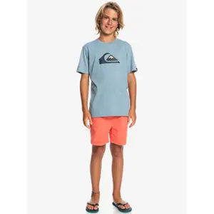 Child's T-shirt Quiksilver Comp Logo image-4