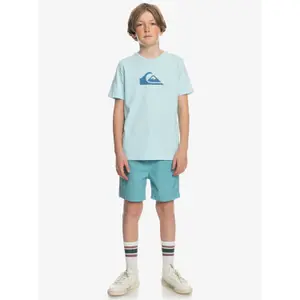 Child's T-shirt Quiksilver Comp Logo image-5