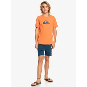 Child's T-shirt Quiksilver Comp Logo image-4