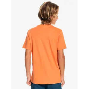 Child's T-shirt Quiksilver Comp Logo image-5