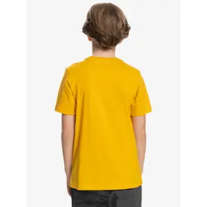 Child's T-shirt Quiksilver Comp Logo image-6