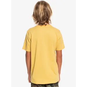 Child's T-shirt Quiksilver Feeding Line image-6