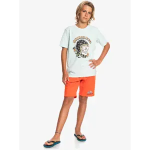 Child's T-shirt Quiksilver Skull Trooper image-4
