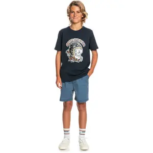 Child's T-shirt Quiksilver Skull Trooper image-5