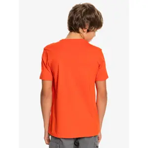 Child's T-shirt Quiksilver Skull Trooper image-6