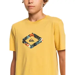 Child's T-shirt Quiksilver Let It Ride image-4