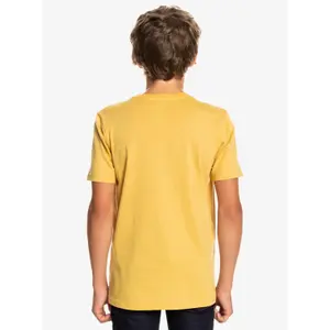 Child's T-shirt Quiksilver Let It Ride image-6