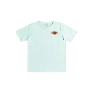 Child's T-shirt Quiksilver Mic Limits image-0