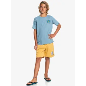 Child's T-shirt Quiksilver Radical Roots image-4