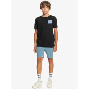 Child's T-shirt Quiksilver Radical Roots image-4