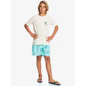 Child's T-shirt Quiksilver New World image-4