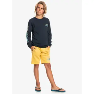 Stacked T-shirt for kids Quiksilver image-4