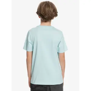 Child's T-shirt Quiksilver All Lined Up image-5