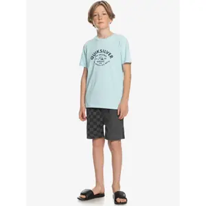 Child's T-shirt Quiksilver Script Talk Frt image-5