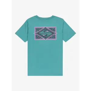 Kid's T-shirt Quiksilver Evo Crisis image-1