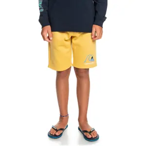 Boy shorts Quiksilver Easy Day Rib image-2