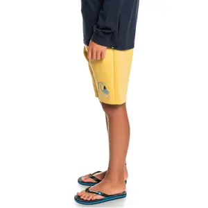 Boy shorts Quiksilver Easy Day Rib image-3