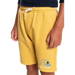 Boy shorts Quiksilver Easy Day Rib image-4