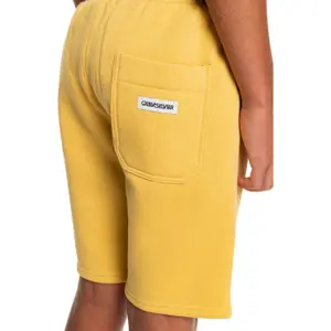 Boy shorts Quiksilver Easy Day Rib image-5