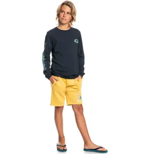 Boy shorts Quiksilver Easy Day Rib image-6
