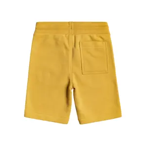 Boy shorts Quiksilver Easy Day Rib image-1